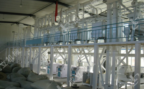 自動化日產20噸面粉加工設備生產產線操作流程